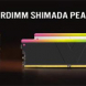 v-color, OC R-DIMM DDR5 메모리 공개