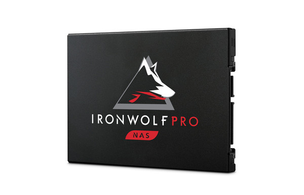 ▲ 씨게이트 아이언울프 프로 125 SSD